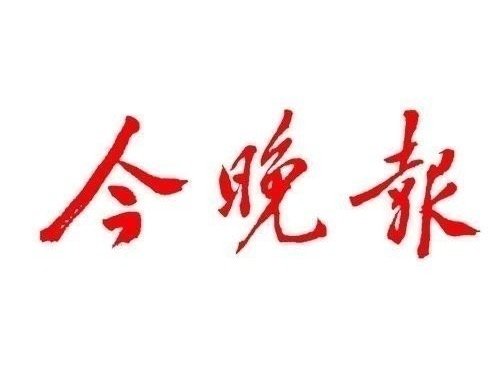 中文域名